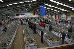 Reges Interesse fand die Ausstellung auch von Besuchern aus den benachbarten Ländern sowie USA